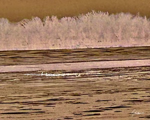 Degel de la riviere 