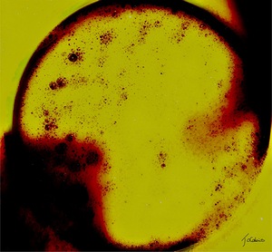 Le cercle dans nos vies 