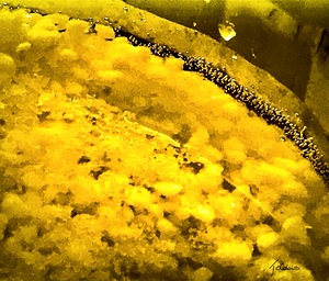 Pepites granulees
