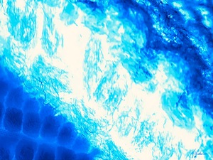 Fibres