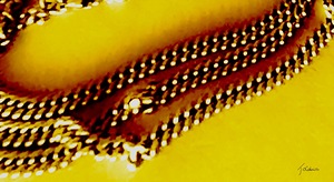 Chainon 