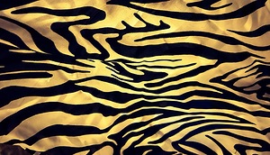 Zebre