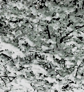 Enneigement 