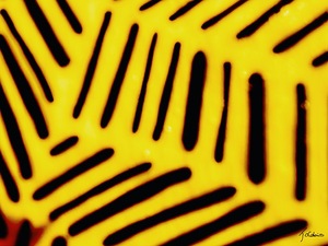 Graphisme 