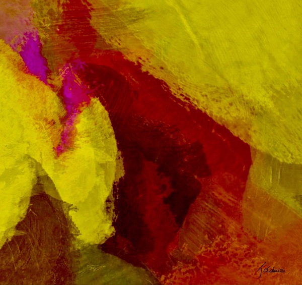 Observation  Print