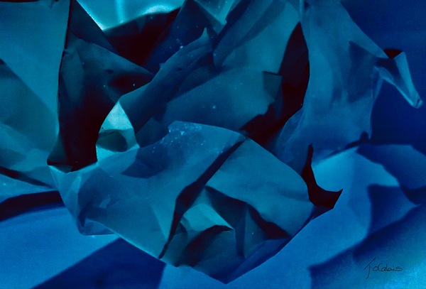 L’oeil  Print