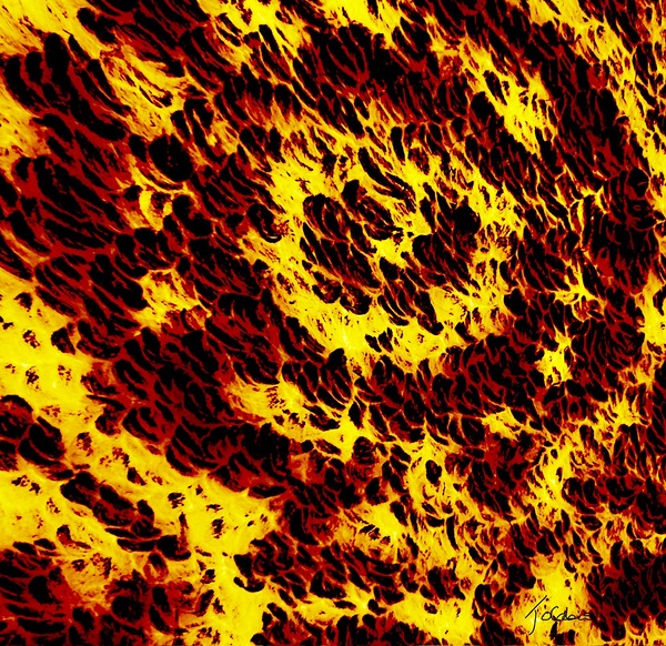 Fibres Print
