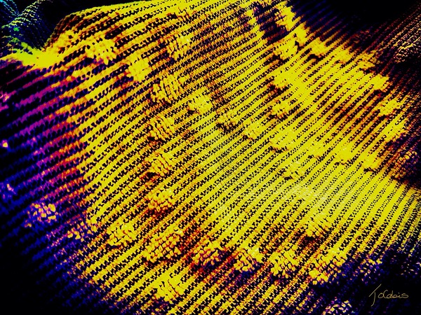 Pompons  Print