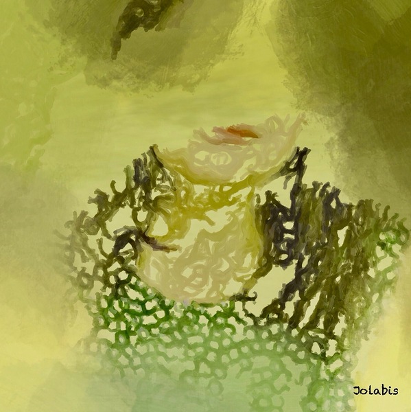 Solitude  Print