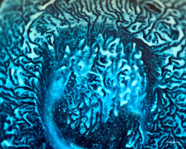 Veines bleues  Print