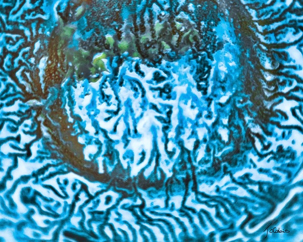 Sillons  Print