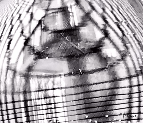 Transparence  Print