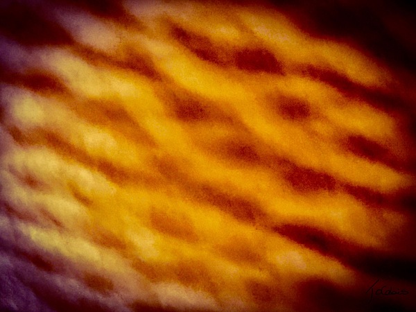 Serpentine  Print