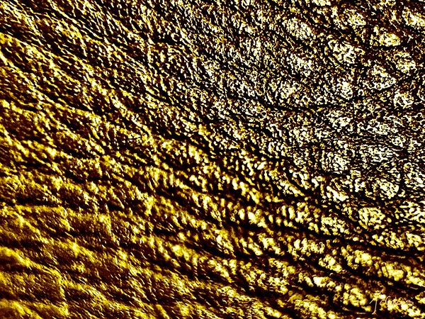 Craquelures  Print