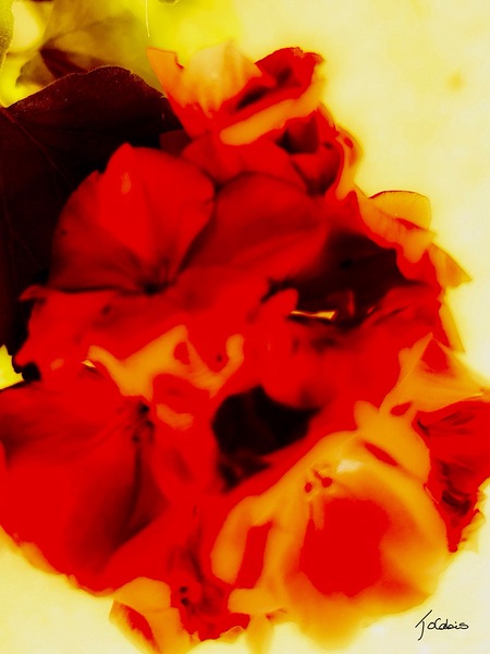 Flores  Print