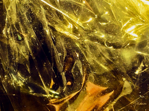 Abstraction  Print