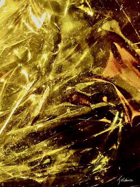 Abstraction  Print