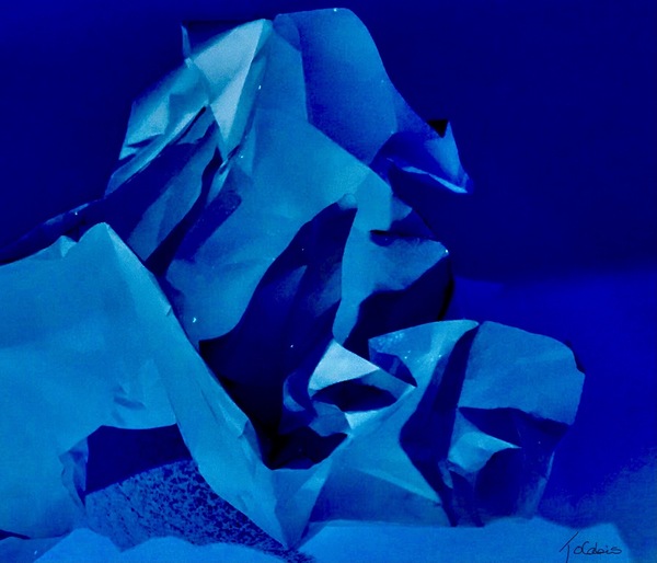 Hippocampe  Print