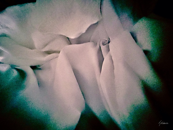 Alcove  Print