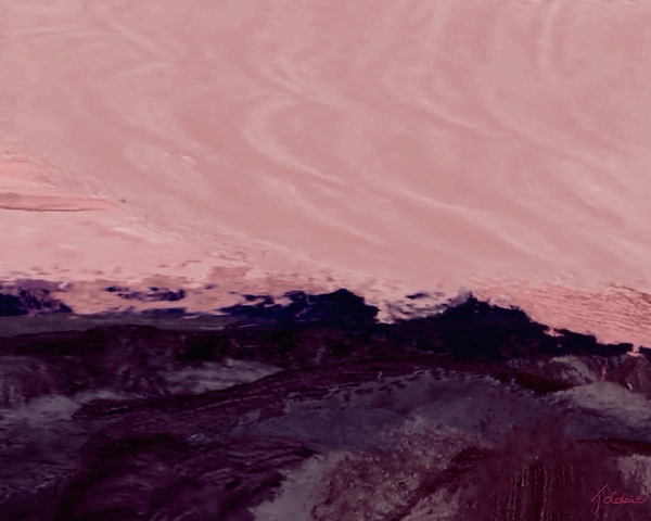 Aurore rose  Print
