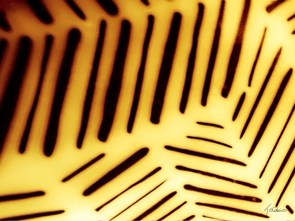 Graphique  Print