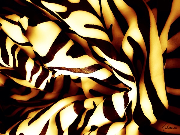 Fauve Print