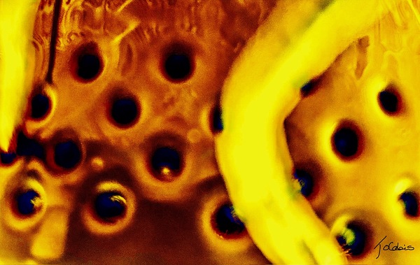 Trouee  Print