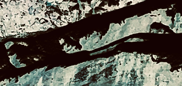 Nuage Print