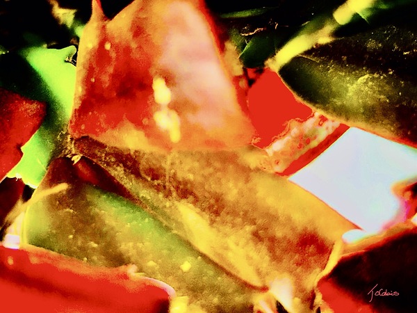 Nuances de rouge  Print