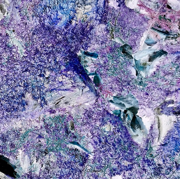 Violet Print