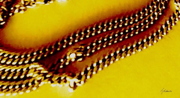 Chainon  Print
