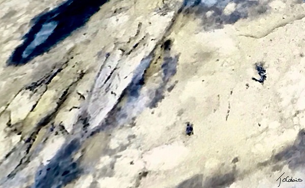 Incrustes Print