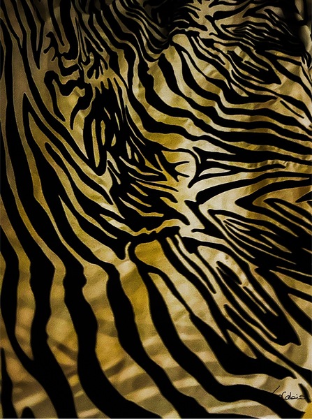 Zebrures III Print