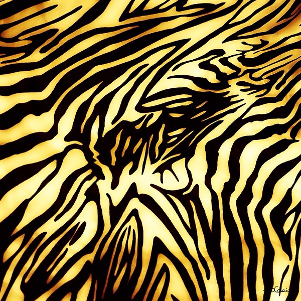 Zebrures II Print