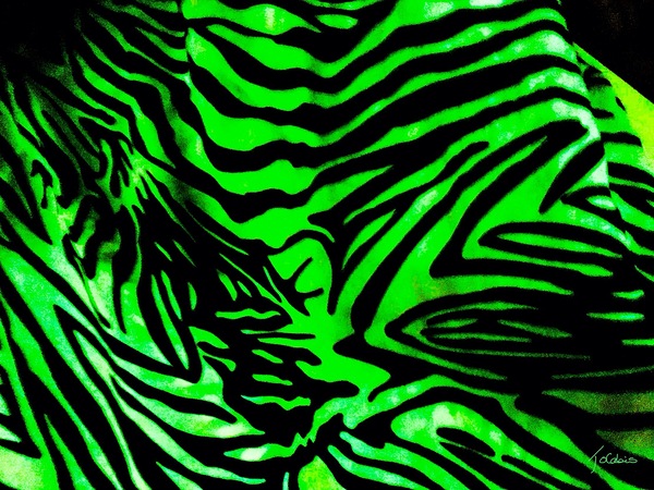 Zebrures V Print