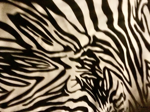 Zebrures VII Print