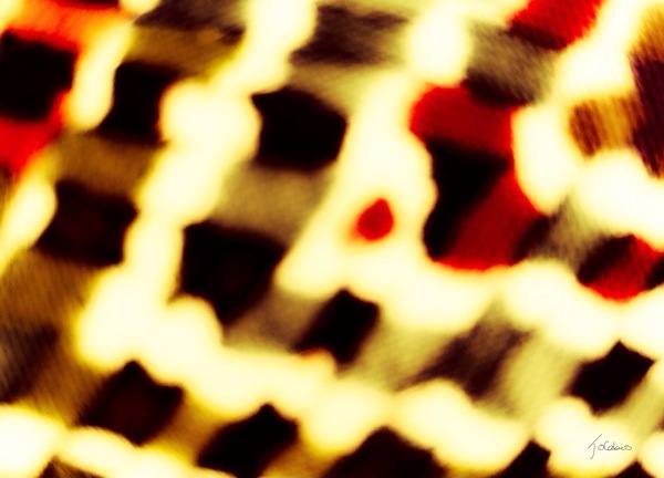 Entrecroisement  Print