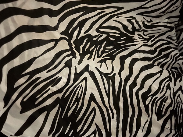 Zebrures X Print