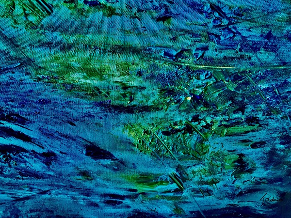 Algues  Print