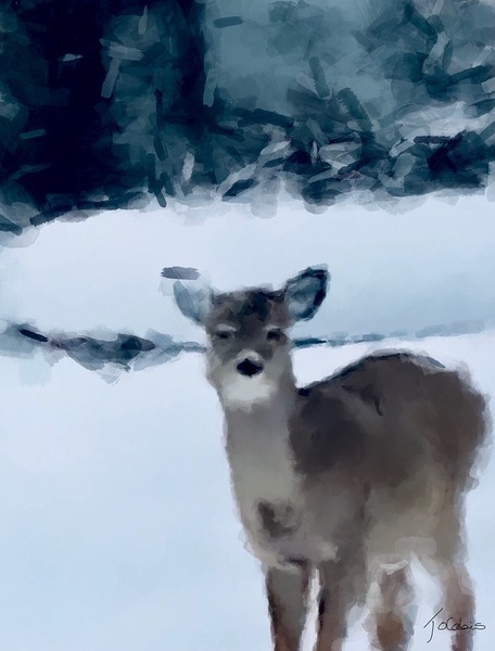 Cerf surpris  Print