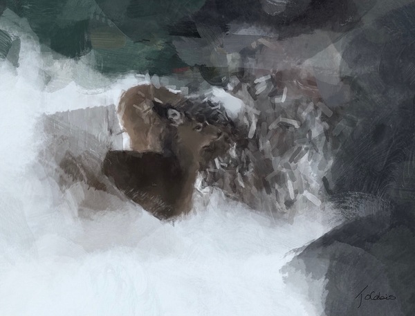 Cerf dans la neige by Jolabis 