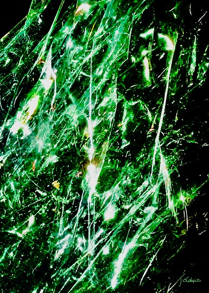 Abstraction  Print