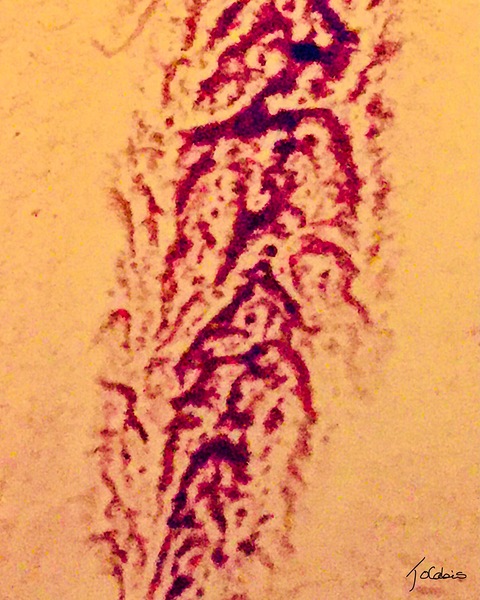 Genetisme Print