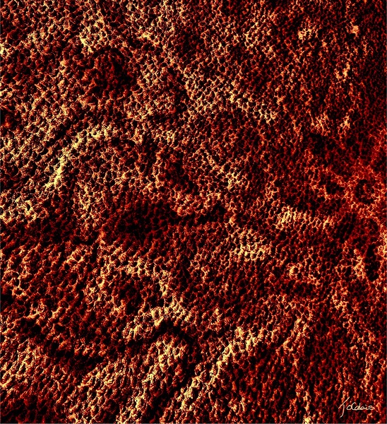 Sinueux  Print