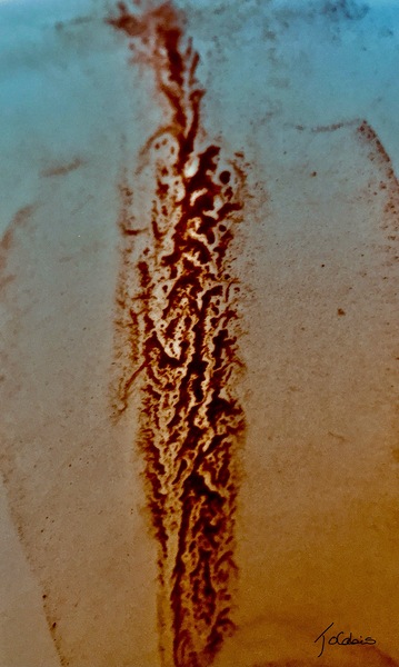 Genetique  Print