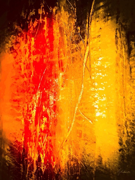 Vivacite  Print