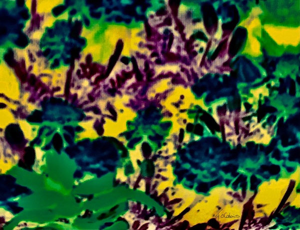 Dans les fleurs  Print