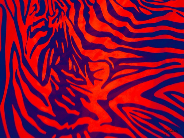 Zebrures  I Print