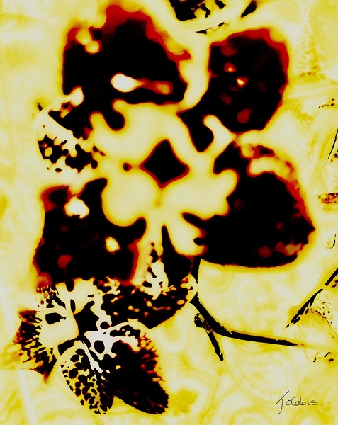 Fleur stylisee  Print