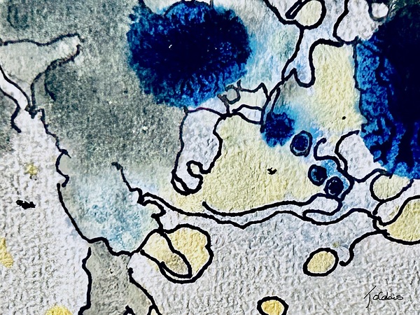Cotonneux  Print
